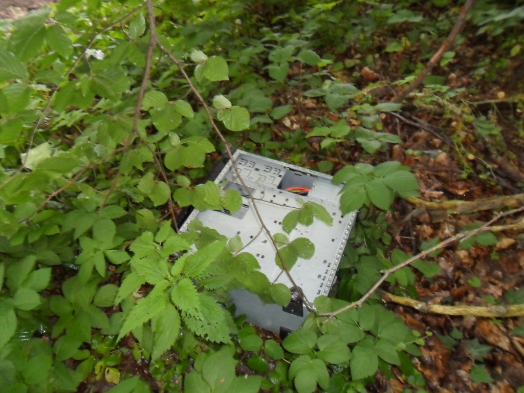 Illegale Müllablagerung verl. Waldstr 003