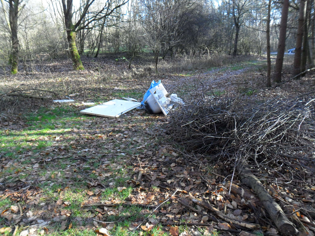 IllegaleMuellentsorgungWaldwegeRichtungBabenhausen008