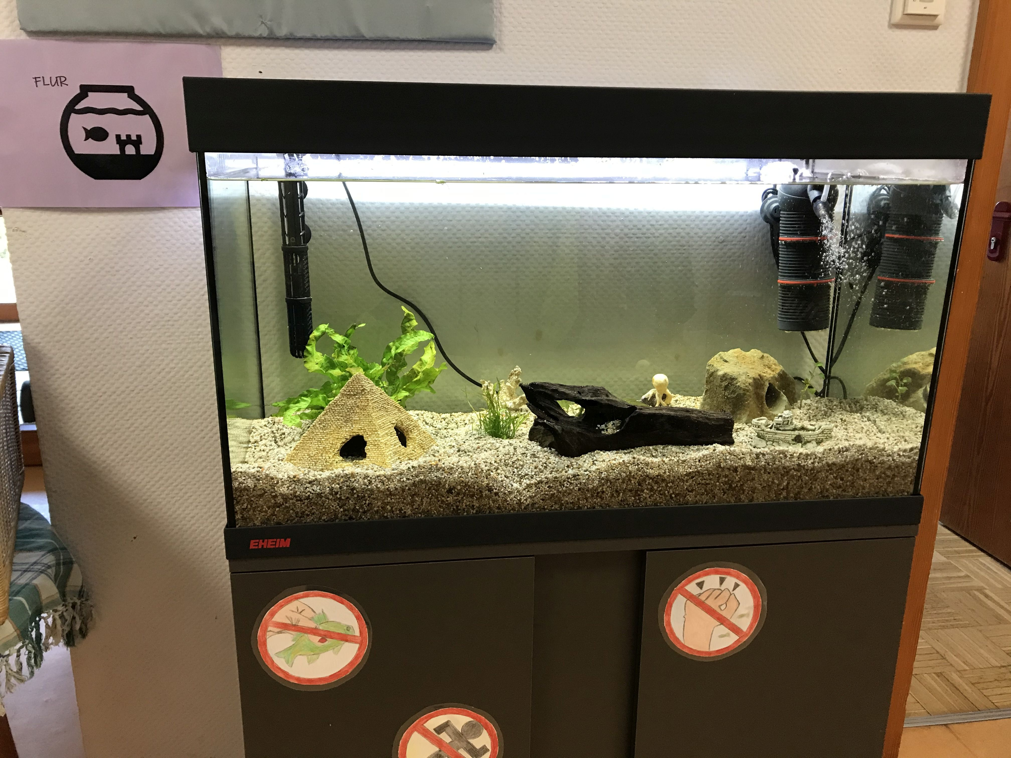 2020-05-14_Foto_Aquarium