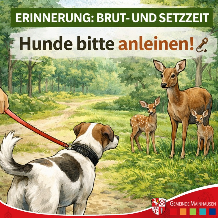 BrutundSetzzeit2026