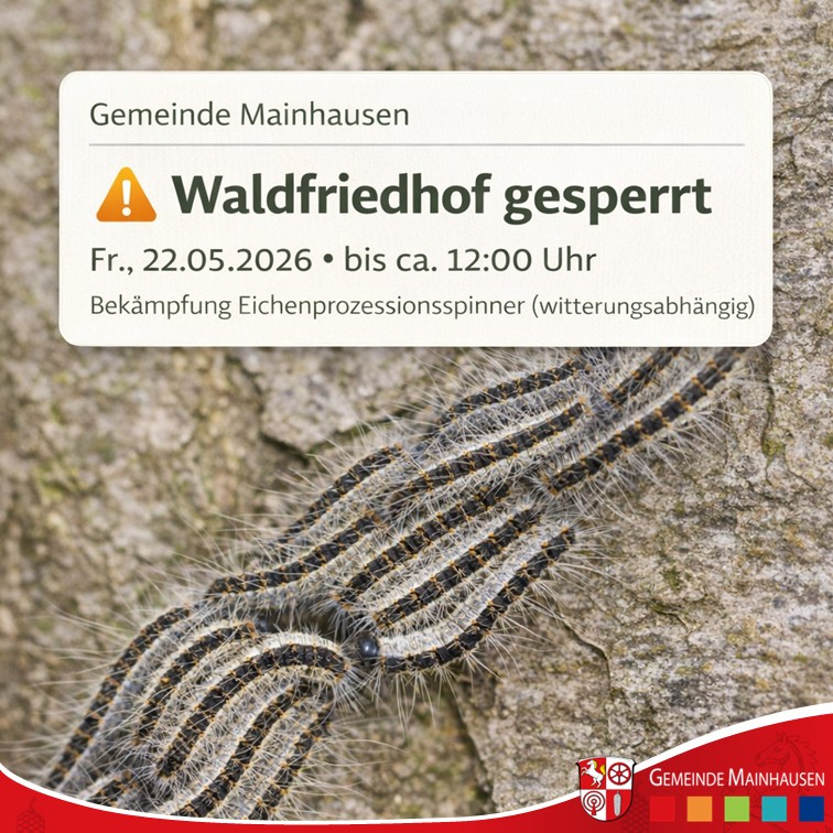 Eichenprozessionsspinner2026